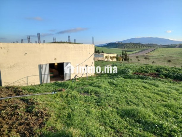 jolie-ferme-a-vendre-a-ayacha-surface-totale-42700-m2-big-8