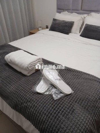 a-cfc-un-apprt-f1-meuble-pour-location-big-3