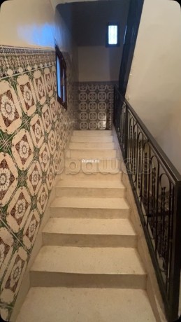 hay-el-hassani-targa-maison-big-7