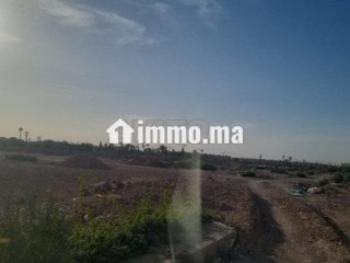 terrain-titre-hv2-a-vendre-10300m2-targa-zonevilla