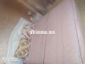 louez-cet-appartement-en-centre-ville-3-belles-chambres-bien-meuble-small-6