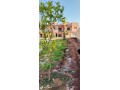 petit-complexe-touristique-neuf-a-vendre-small-7