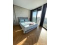location-studio-meuble-neuf-a-bourgogne-small-7