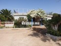 ferme-de-la-mosquee-al-ghoufrane-a-vendre-small-1