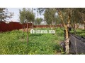 ferme-de-la-mosquee-al-ghoufrane-a-vendre-small-2