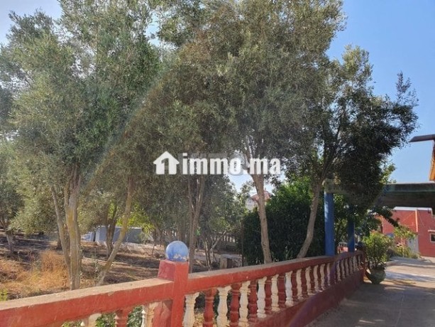ferme-de-la-mosquee-al-ghoufrane-a-vendre-big-5