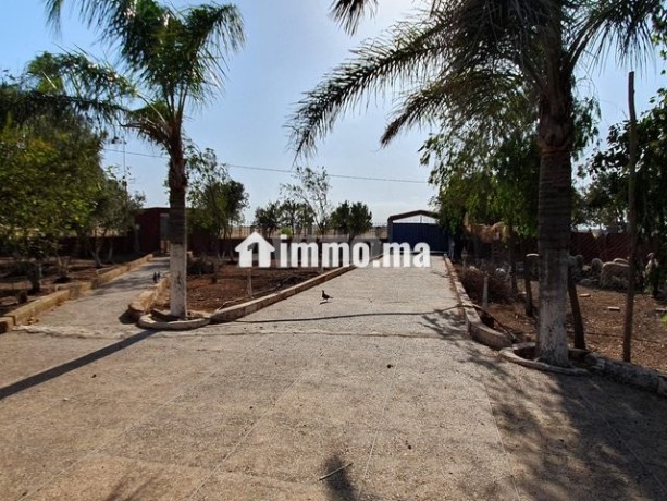 ferme-de-la-mosquee-al-ghoufrane-a-vendre-big-7