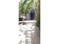 maison-avec-jardin-244m-small-0