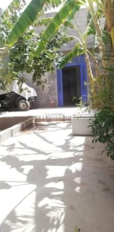maison-avec-jardin-244m-big-0