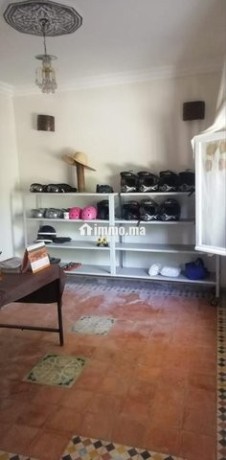 maison-avec-jardin-244m-big-5