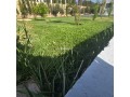 magnifique-villa-a-louer-pour-vos-vacances-a-route-dagadir-3-chambres-agreables-parking-et-terrasse-small-14
