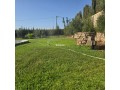 magnifique-villa-a-louer-pour-vos-vacances-a-route-dagadir-3-chambres-agreables-parking-et-terrasse-small-2