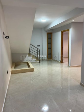 duplex-usage-habitation-familiale-ou-bureau-big-8
