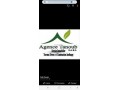 terrain-a-vendrelmenzeh-ainawda-small-0