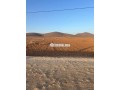 terrain-de-10100-m2-a-vendre-a-bourrous-small-0