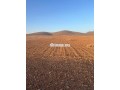 terrain-de-10100-m2-a-vendre-a-bourrous-small-1