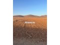terrain-de-10100-m2-a-vendre-a-bourrous-small-2