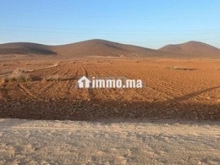 terrain-de-10100-m2-a-vendre-a-bourrous