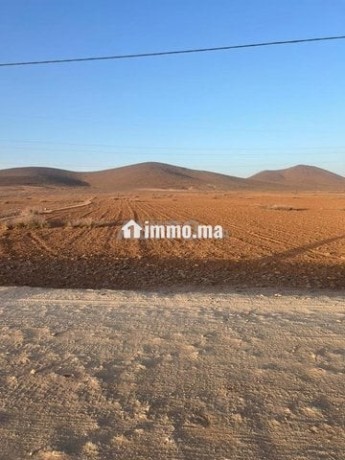 terrain-de-10100-m2-a-vendre-a-bourrous-big-0