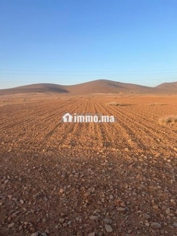 terrain-de-10100-m2-a-vendre-a-bourrous-big-1