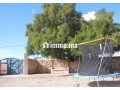 tres-belle-villa-avec-piscine-privee-a-essaouira-small-3