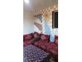 appartement-meuble-pour-etudiants-small-0