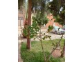 bel-appartement-a-saidia-marina-small-2