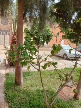 bel-appartement-a-saidia-marina-big-2