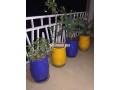 location-vacances-a-marrakech-marjane-small-1