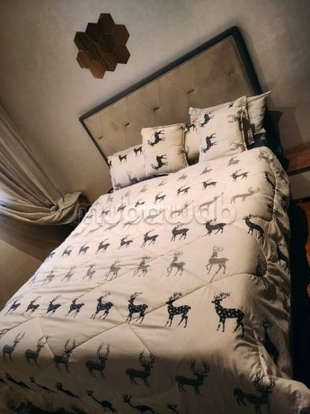 appartement-de-luxe-a-louer-big-7