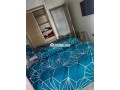 appartement-meuble-quartier-du-parc-small-2