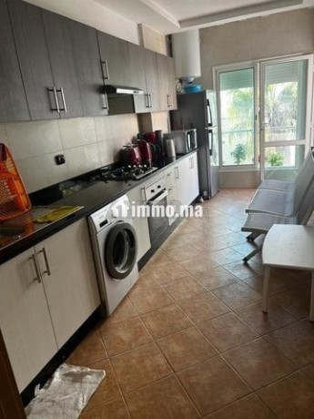 appartement-meuble-quartier-du-parc-big-3