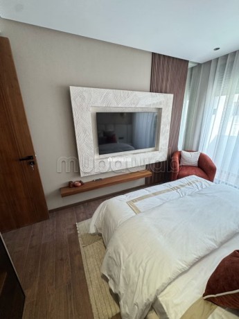 superbe-appartement-a-vendre-a-les-princesses-surface-totale-45-m2-cheminee-et-climatisation-big-7