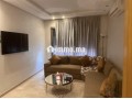appartement-meuble-en-location-a-belvedere-small-5