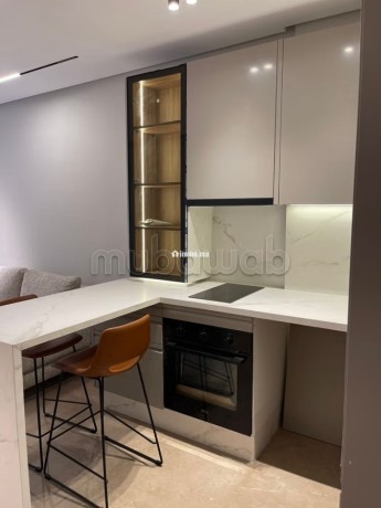 studio-a-la-location-longue-duree-les-princesses-big-9
