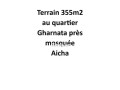 terrain-355m2-quartier-gharnata-pres-mosquee-aicha-small-0