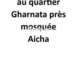 terrain-355m2-quartier-gharnata-pres-mosquee-aicha