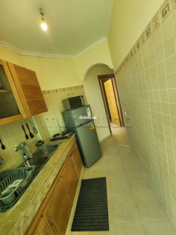 2-chambres-renove-avec-piscine-et-balcon-big-11