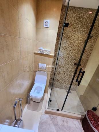 2-chambres-renove-avec-piscine-et-balcon-big-15