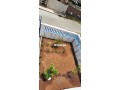 villa-semi-finie-de-181m2-a-vendre-small-3
