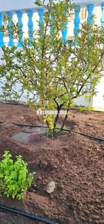 villa-semi-finie-de-181m2-a-vendre-big-6