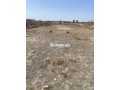 terrain-agricole-small-0