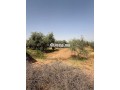 terrain-a-vendre-a-30-min-de-marrakech-small-0