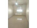 shk-llkraaa-bgnan-alzyton-small-0