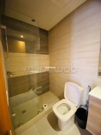 appartement-a-louer-a-ferme-bretonne-hay-arraha-2-chambres-bien-meuble-big-10