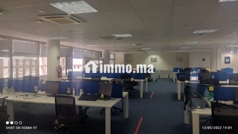 a-louer-bureau-600m2-bd-med-v-big-2