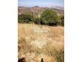 terrain-titre-avec-vue-exceptionnelle-nouinouich-small-1