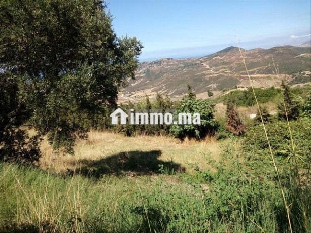 terrain-titre-avec-vue-exceptionnelle-nouinouich-big-3