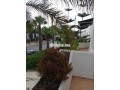 villa-avendre-a-sid-3abd-small-10