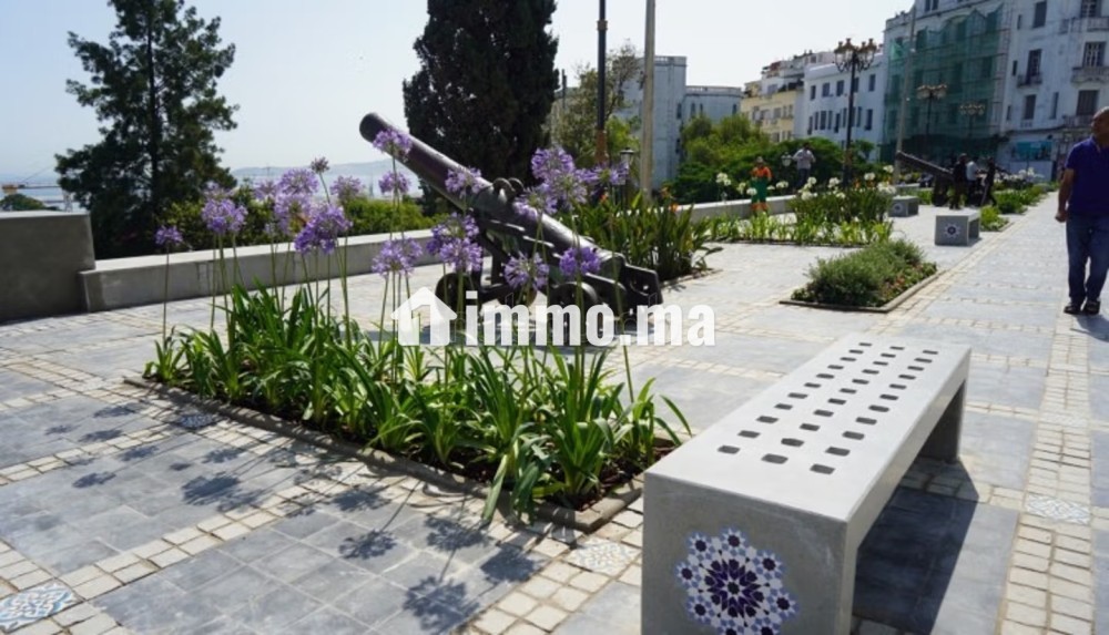 Appartements à louer en Centre. 1 Pièce. Salon Marocain et antenne parabolique - Vente Immobilier - Tanger - photo 1